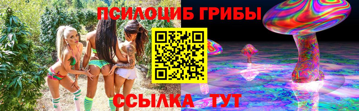 Галлюциногенные грибы прущие грибы  Галлюциногенные грибы Cubensis  Нягань  Вход с VPN 