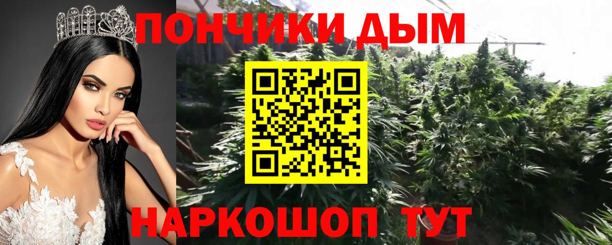 Марихуана планчик  Марихуана сатива  Вход с VPN  Нягань 